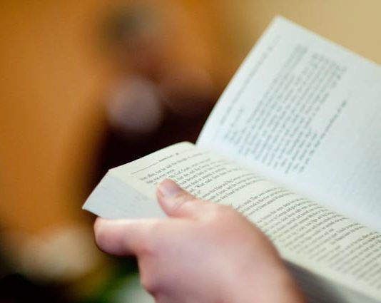 La lectura y la belleza van de la mano