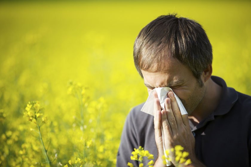 protegerse de las alergias
