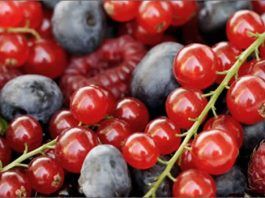 beneficios de los bioflavonoides