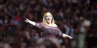 Hiatus de Adele