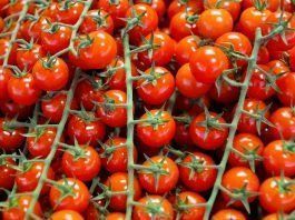 Adiós a los puntos negros. ¡Piel libre de espinillas!