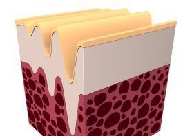 ¡Colágeno hecho en casa! Receta casera para evitar las arrugas.