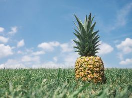 Té de piña para deshacerse de la celulitis abdominal.