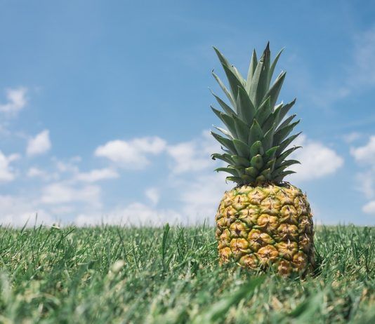 Té de piña para deshacerse de la celulitis abdominal.