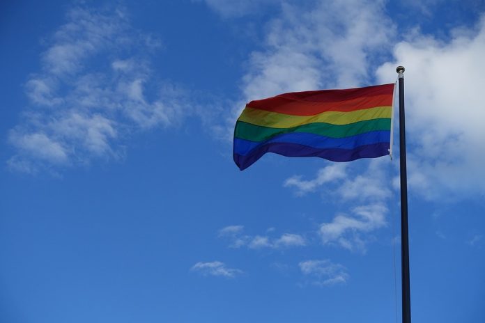 Homosexuales, elevan su bandera de igualdad social