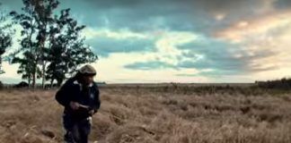 Los mejores estrenos para que disfrutes